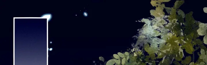 女帝多蓝颜韩漫全集-第180话 我不干净了！无删减无遮挡章节图片 