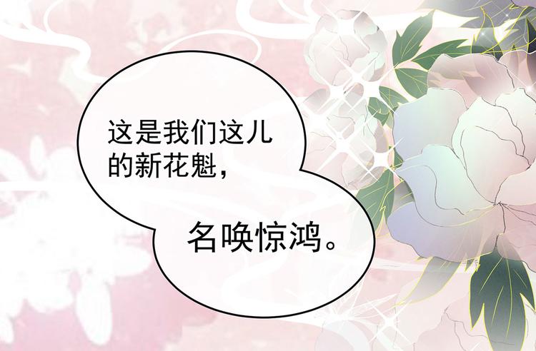 女帝多蓝颜韩漫全集-千寒番外 惊鸿花魁无删减无遮挡章节图片 