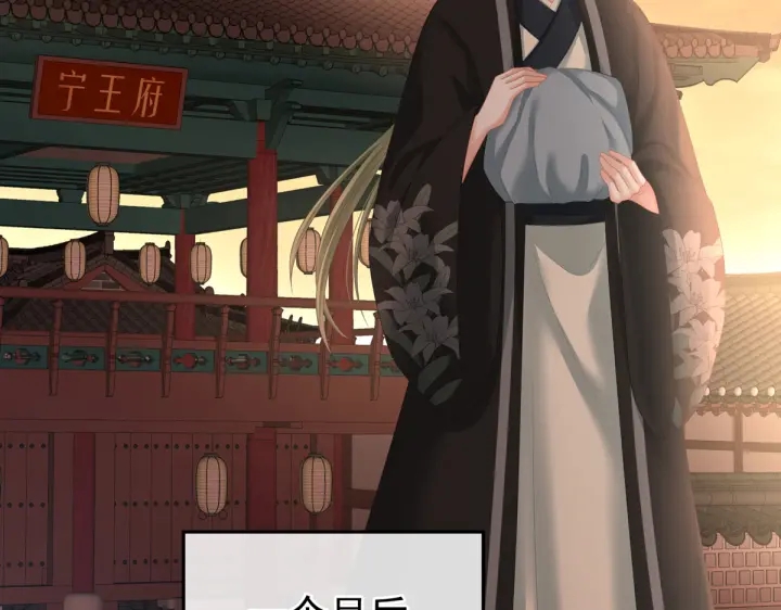 女帝多蓝颜韩漫全集-第199话 宁王夫要换人？无删减无遮挡章节图片 