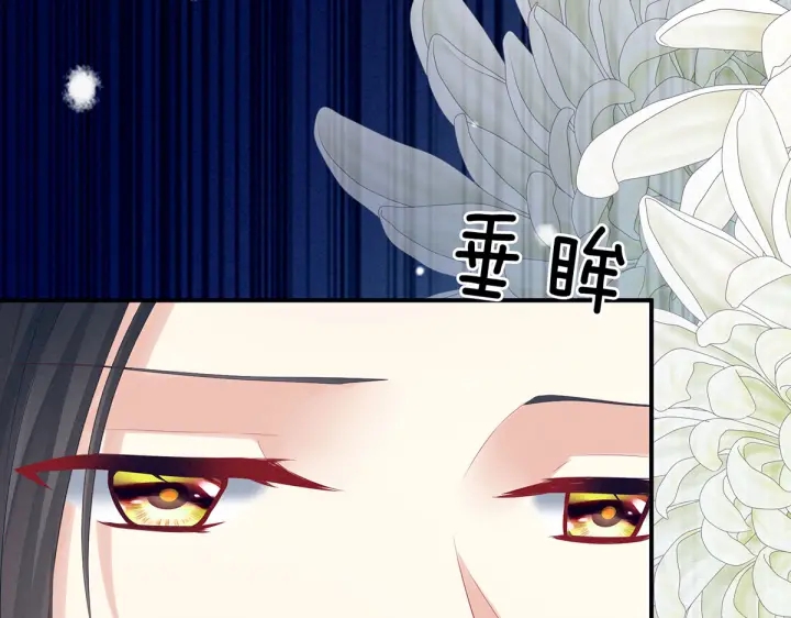 女帝多蓝颜韩漫全集-第205话 她不是我的妻主无删减无遮挡章节图片 