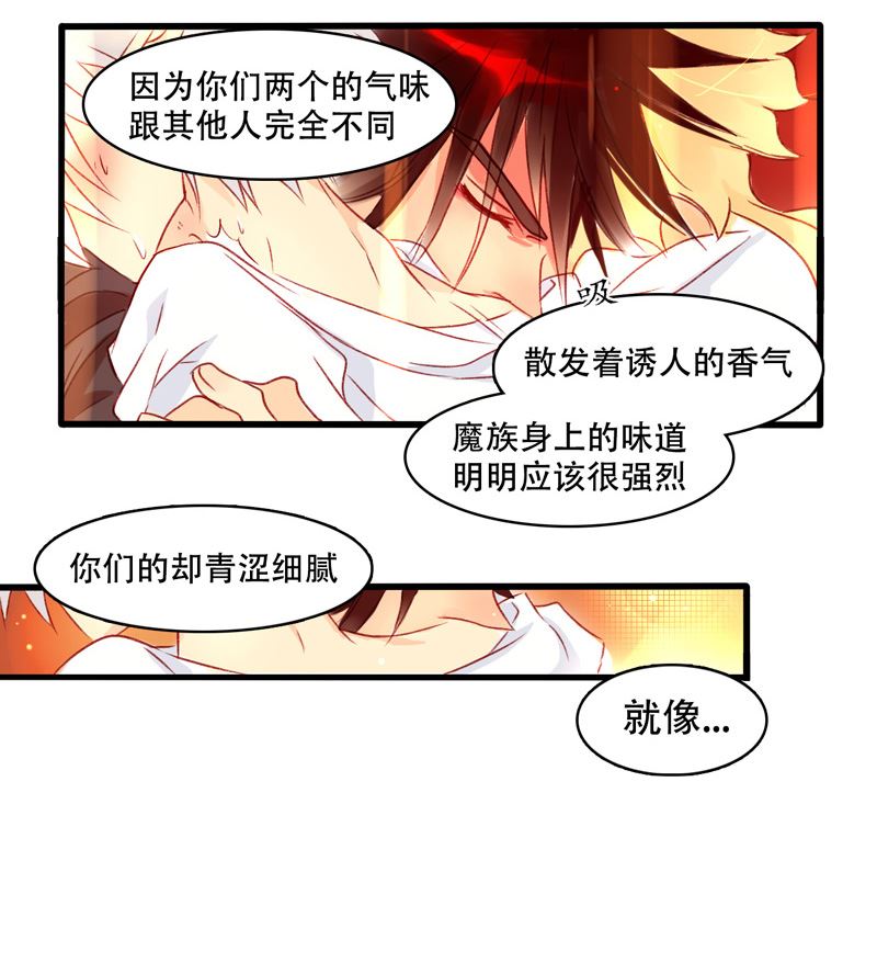 诺林牧师天使篇韩漫全集-诺林牧师天使篇 第10集无删减无遮挡章节图片 