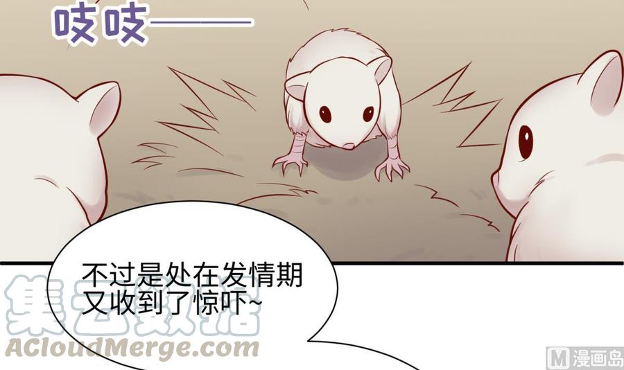女神的私人医生韩漫全集-第97话 跨国医斗无删减无遮挡章节图片 