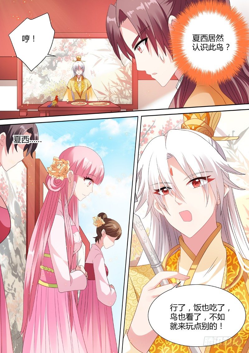 女神制造系统韩漫全集-太子的挑衅无删减无遮挡章节图片 