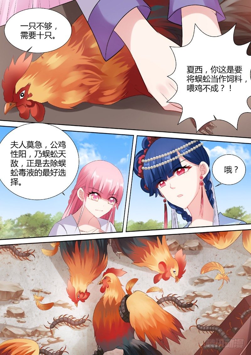 女神制造系统韩漫全集-烹饪蜈蚣？！无删减无遮挡章节图片 