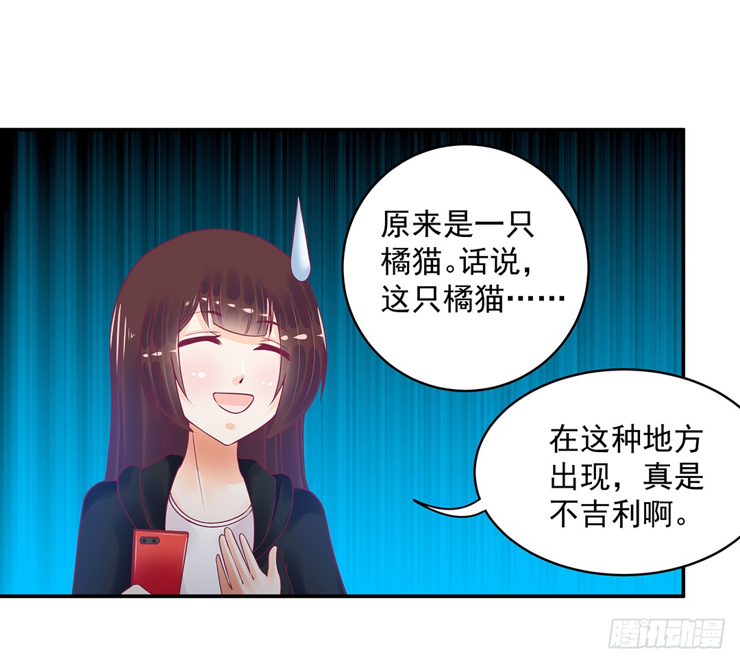 女王驾到韩漫全集-神秘的黑影……无删减无遮挡章节图片 