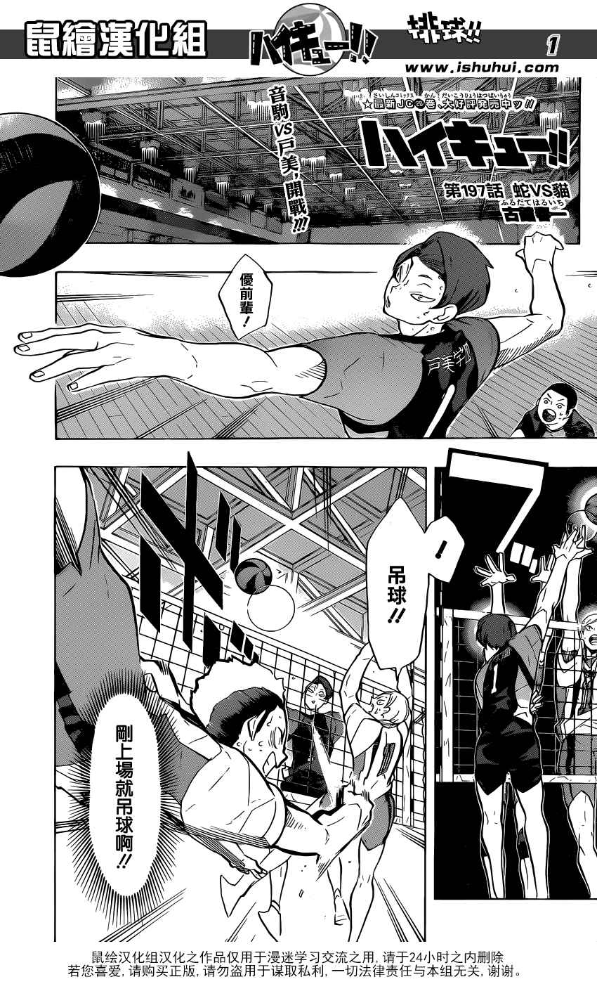 排球少年!!韩漫全集-第197话无删减无遮挡章节图片 