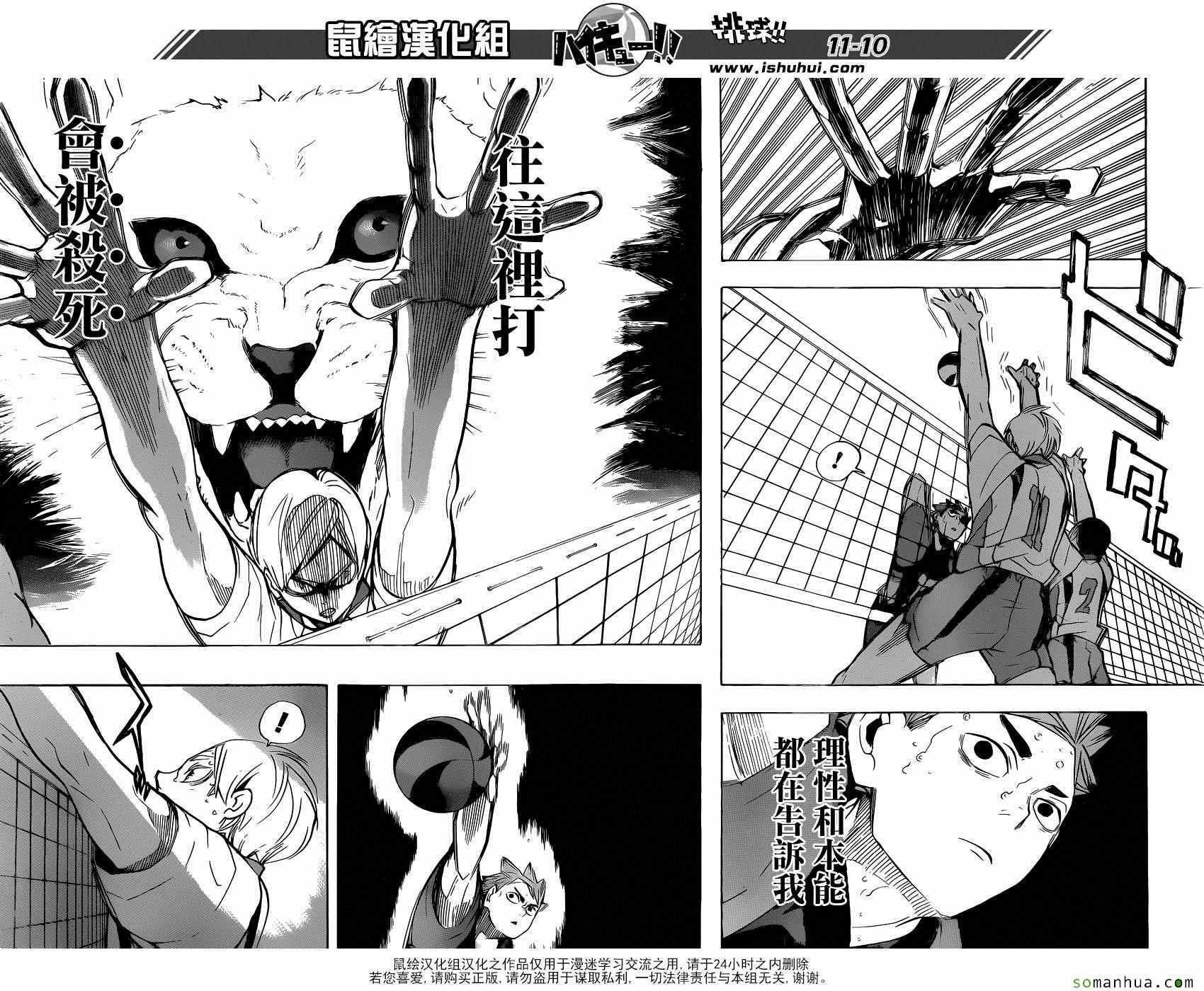 排球少年!!韩漫全集-第205话无删减无遮挡章节图片 