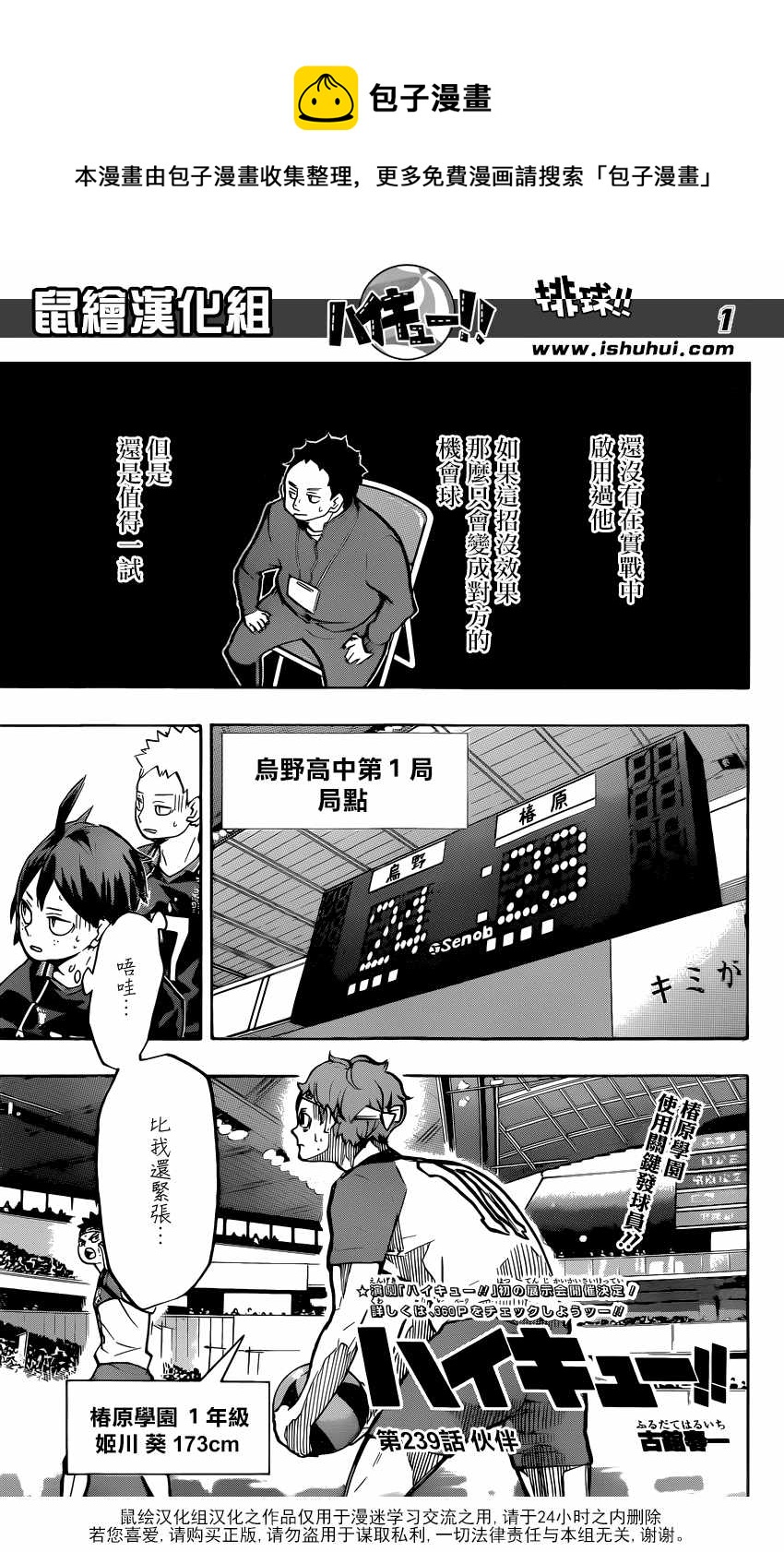 排球少年!!韩漫全集-第239话无删减无遮挡章节图片 