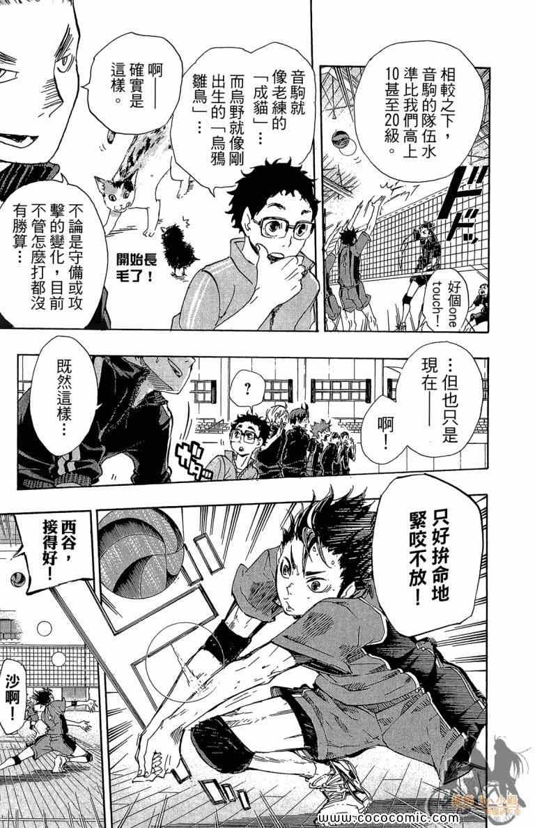 排球少年!!韩漫全集-第4卷无删减无遮挡章节图片 