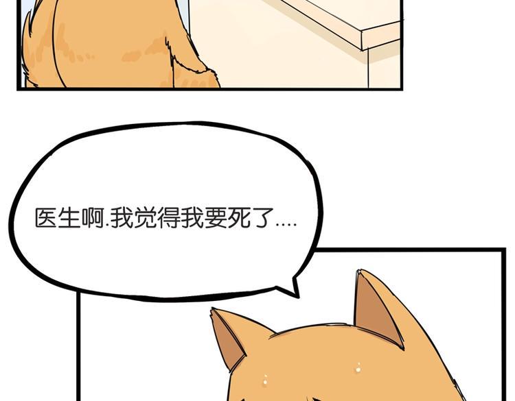 贫穷父女韩漫全集-第134话 一定是弄错了无删减无遮挡章节图片 