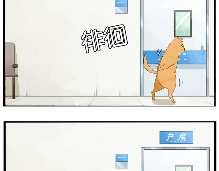 贫穷父女韩漫全集-第148话 不告诉你无删减无遮挡章节图片 