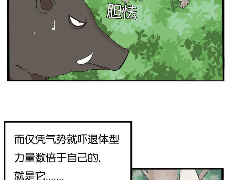 贫穷父女韩漫全集-第216话 偶像选拔篇26无删减无遮挡章节图片 