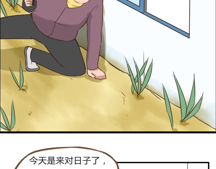 贫穷父女韩漫全集-第62话 就怕猪队友无删减无遮挡章节图片 