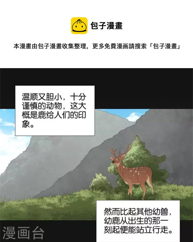 贫王韩漫全集-第81话 动物世界充满智慧无删减无遮挡章节图片 