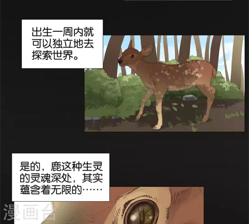 贫王韩漫全集-第81话 动物世界充满智慧无删减无遮挡章节图片 