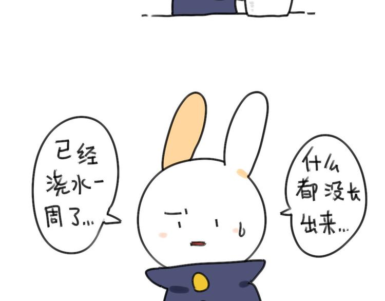 破耳兔韩漫全集-第30话：一只不按套路出牌的兔无删减无遮挡章节图片 