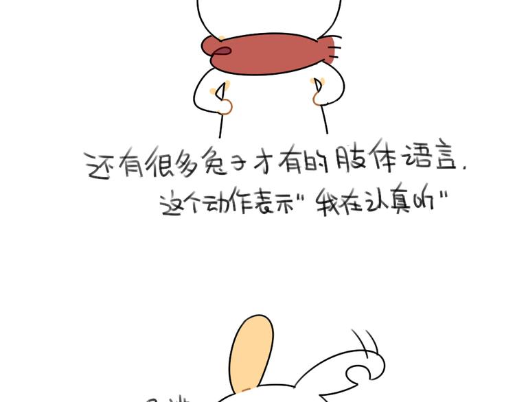 破耳兔韩漫全集-第48话：小兔子们的生活无删减无遮挡章节图片 