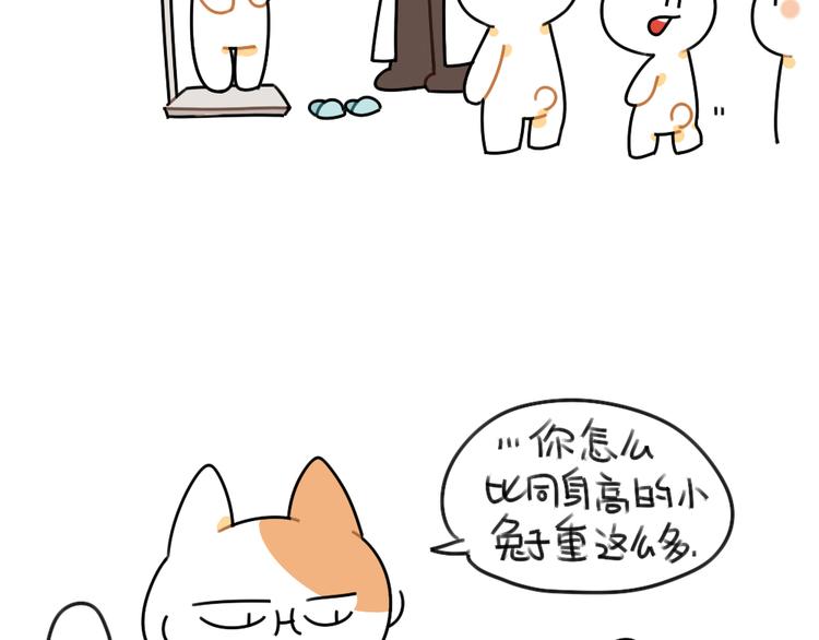 破耳兔韩漫全集-第49话：因为我毛茸茸的呀无删减无遮挡章节图片 