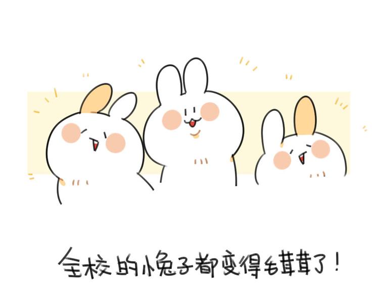 破耳兔韩漫全集-第55话：异于常兔的理由无删减无遮挡章节图片 