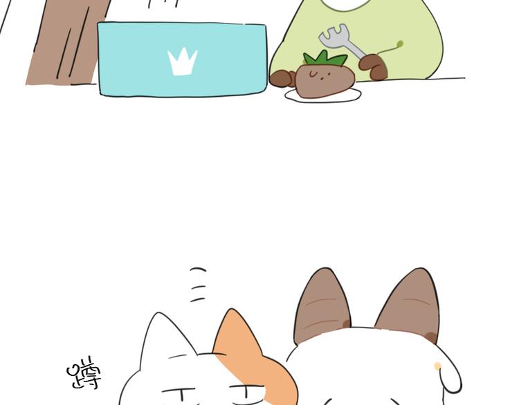 破耳兔韩漫全集-第93话：猫是一种神奇的生物无删减无遮挡章节图片 