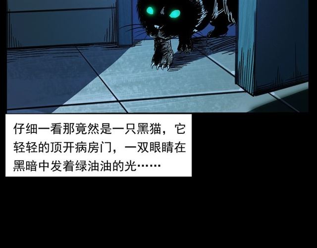 枪爷异闻录韩漫全集-第159话  医院里的黑猫无删减无遮挡章节图片 