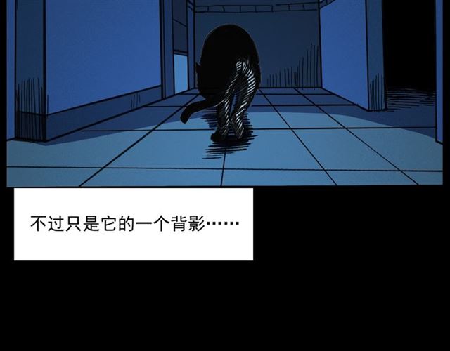 枪爷异闻录韩漫全集-第159话  医院里的黑猫无删减无遮挡章节图片 