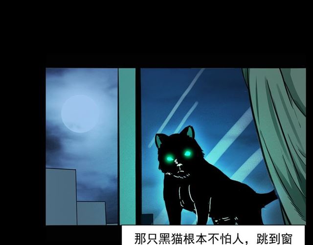 枪爷异闻录韩漫全集-第159话  医院里的黑猫无删减无遮挡章节图片 