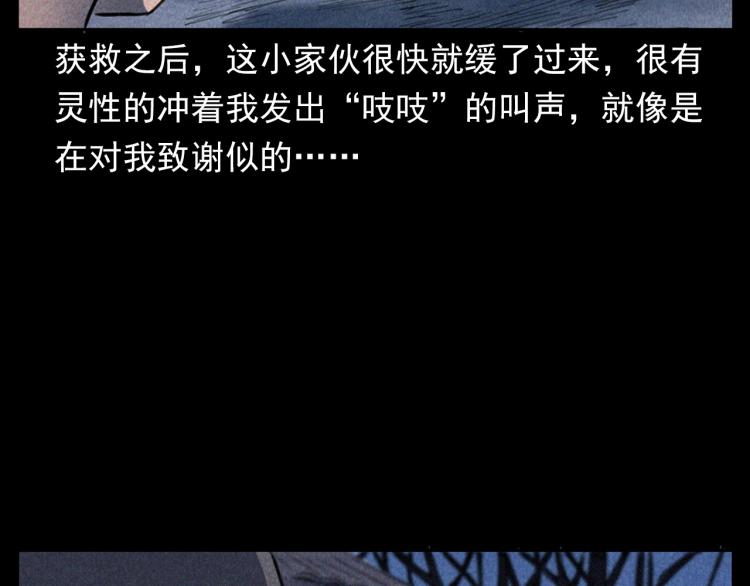 枪爷异闻录韩漫全集-第307话 鼠恩无删减无遮挡章节图片 