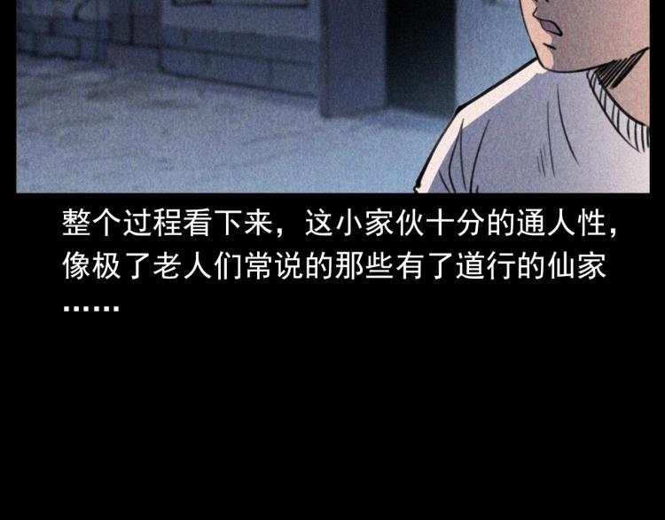 枪爷异闻录韩漫全集-第307话 鼠恩无删减无遮挡章节图片 