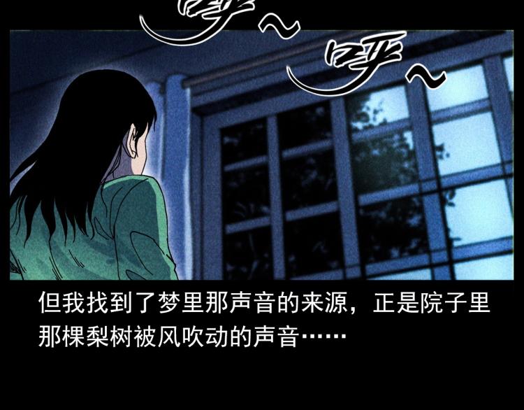 枪爷异闻录韩漫全集-第308话 梨树无删减无遮挡章节图片 