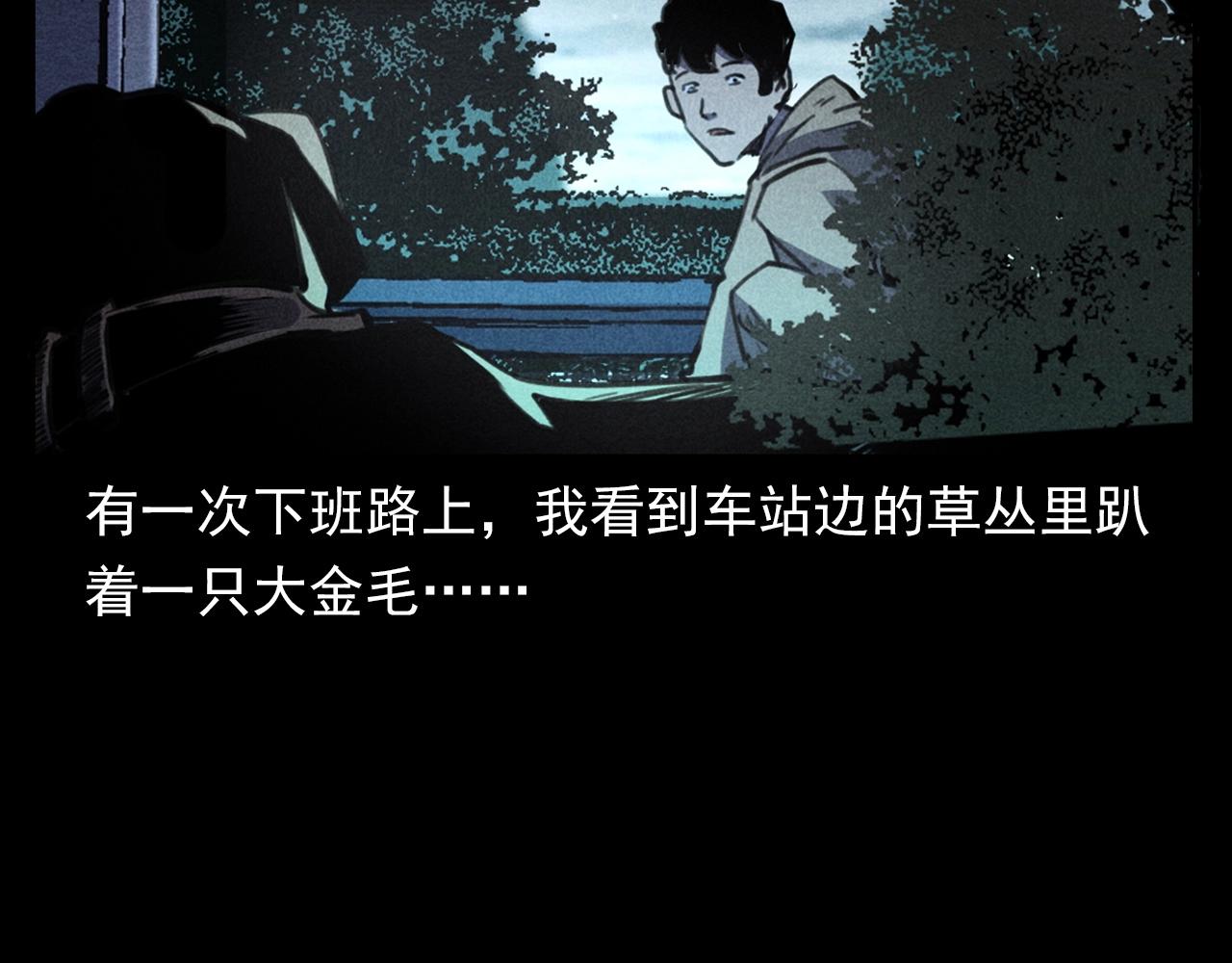 枪爷异闻录韩漫全集-第352话 流浪狗无删减无遮挡章节图片 