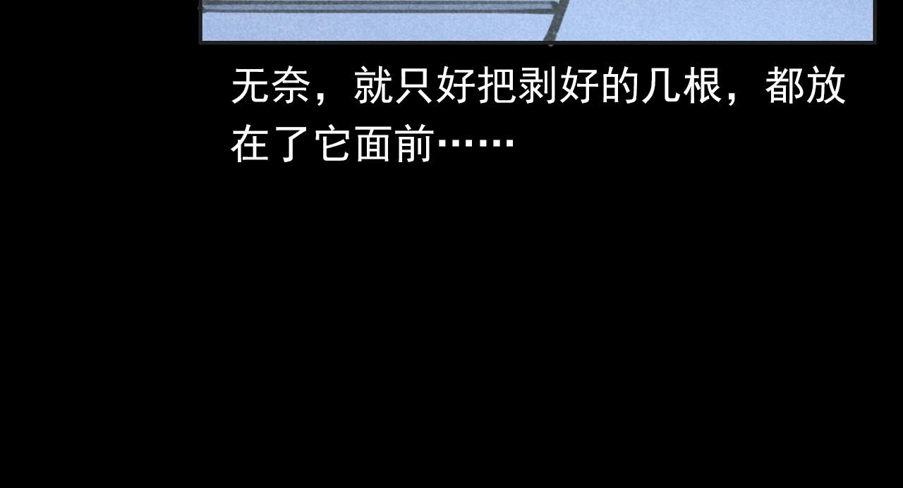 枪爷异闻录韩漫全集-第352话 流浪狗无删减无遮挡章节图片 