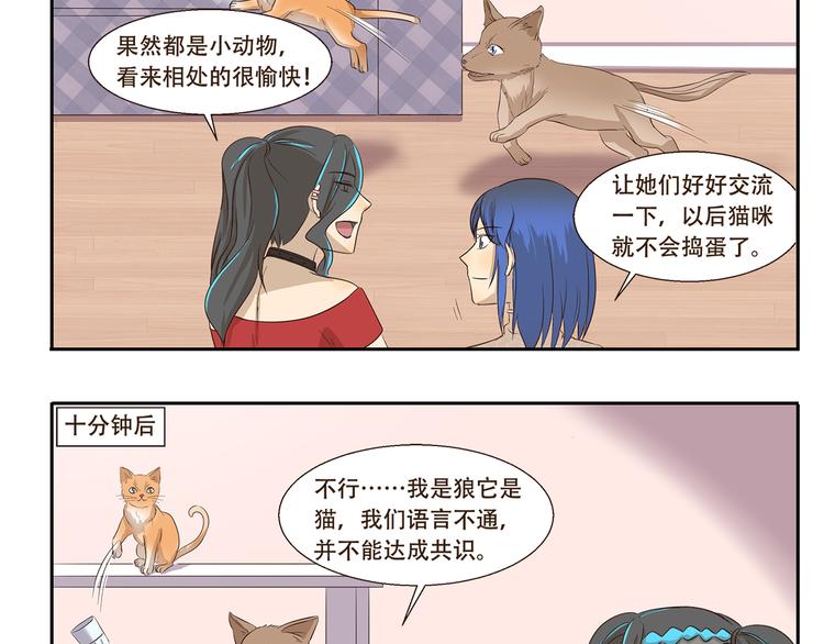 千精百怪韩漫全集-第170话 猫界时尚大师无删减无遮挡章节图片 