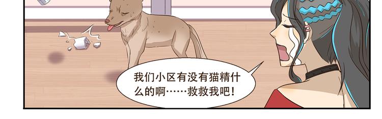 千精百怪韩漫全集-第170话 猫界时尚大师无删减无遮挡章节图片 