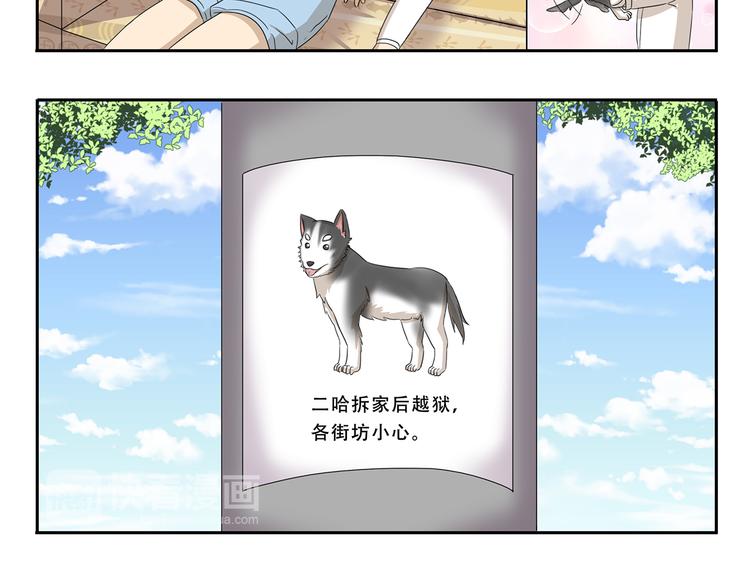 千精百怪韩漫全集-第255话 拆家警告无删减无遮挡章节图片 