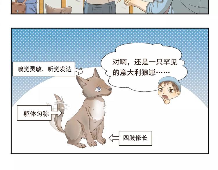 千精百怪韩漫全集-第33话 开罗动物园无删减无遮挡章节图片 