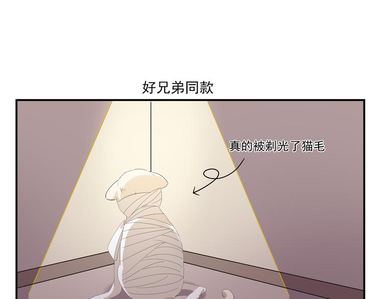 千精百怪韩漫全集-第434话 另一种享受无删减无遮挡章节图片 