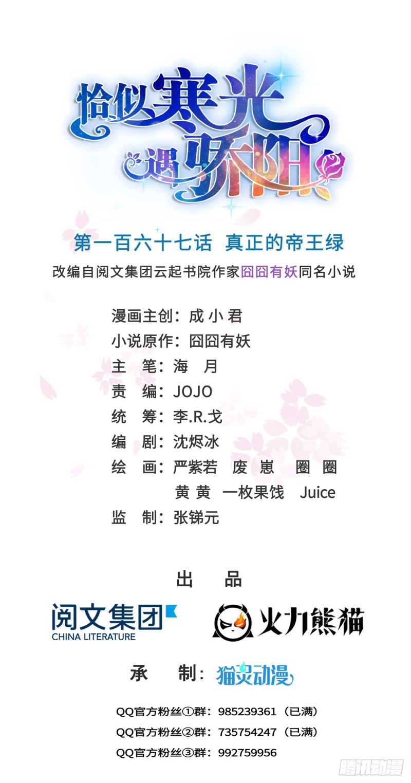 恰似寒光遇骄阳韩漫全集-第一百六十七话  真正的帝王绿无删减无遮挡章节图片 