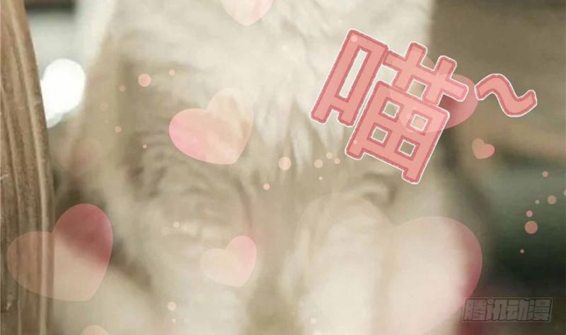 恰似寒光遇骄阳韩漫全集-第三十三话 撕开真面目！无删减无遮挡章节图片 
