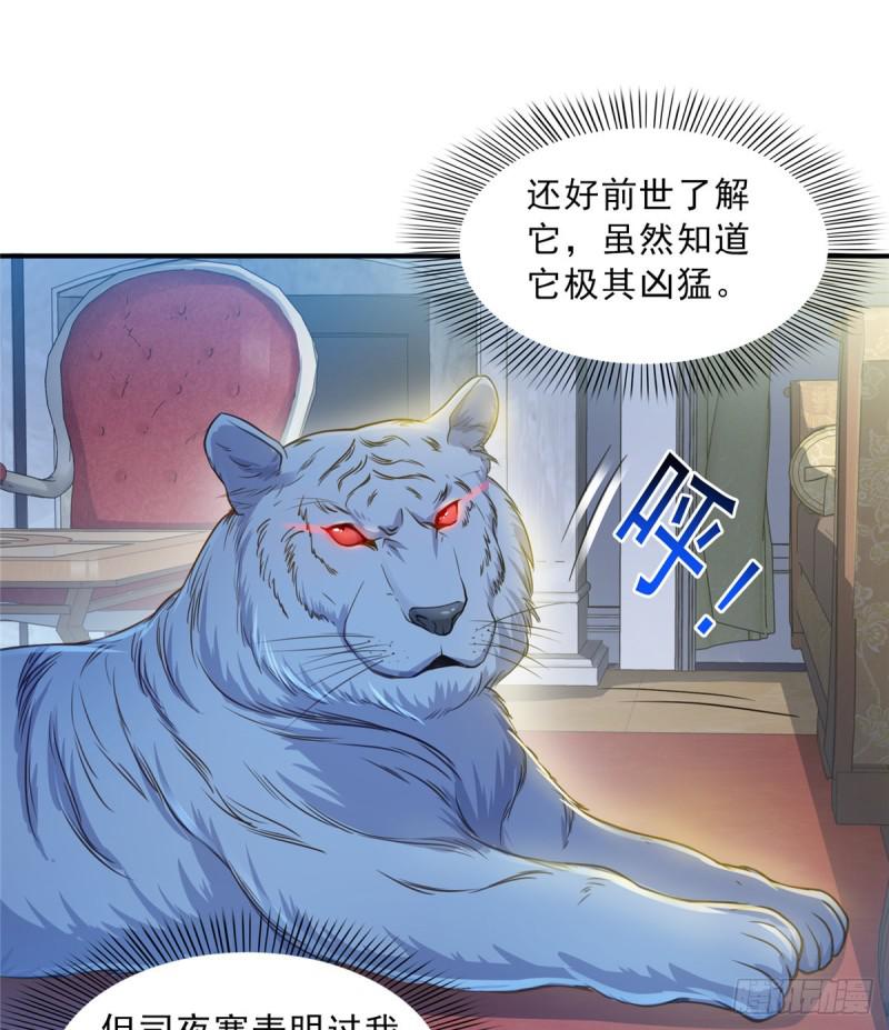 恰似寒光遇骄阳韩漫全集-第四十七话 不是给我的？无删减无遮挡章节图片 