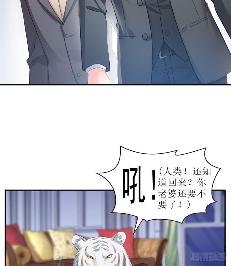 恰似寒光遇骄阳韩漫全集-第六十六话 我要富可敌国！无删减无遮挡章节图片 