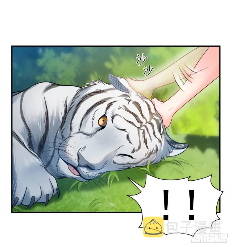 恰似寒光遇骄阳韩漫全集-第六十七话 自由的条件无删减无遮挡章节图片 