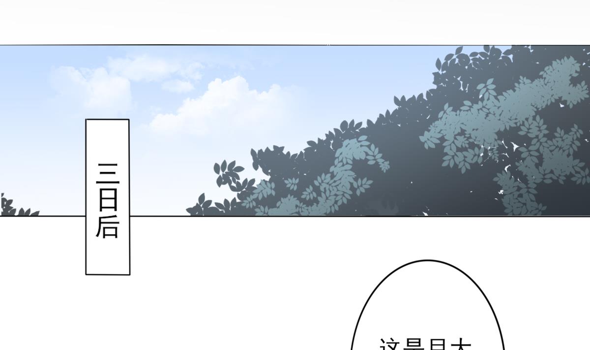 倾城之上韩漫全集-第145话 让你倾家荡产无删减无遮挡章节图片 