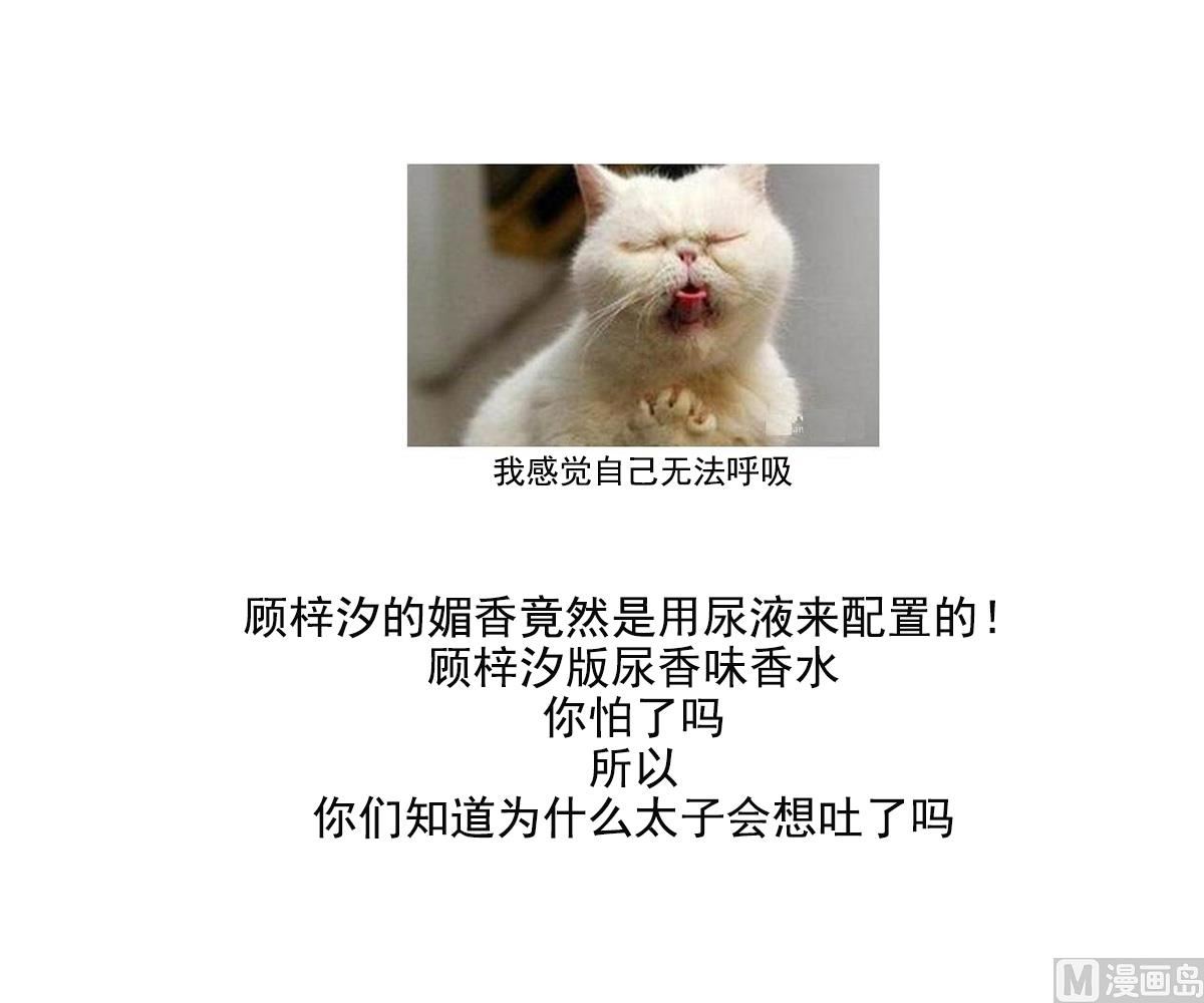 倾城之上韩漫全集-第155话 她和顾梓汐长得一样无删减无遮挡章节图片 