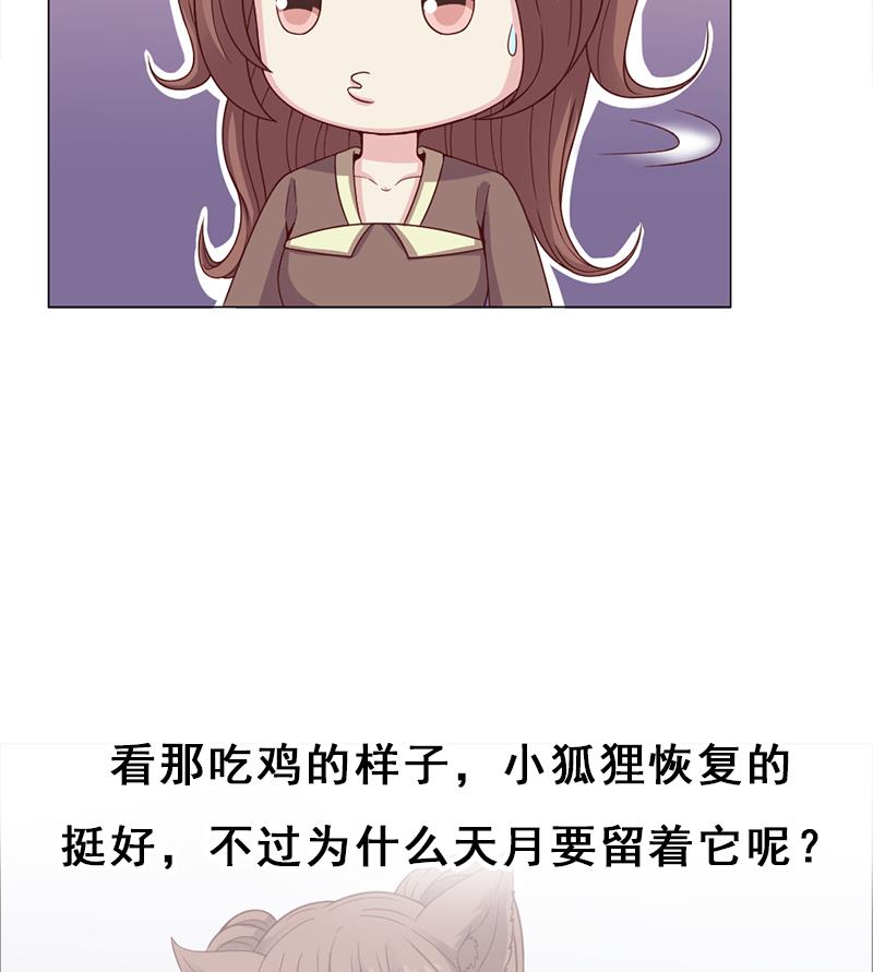倾城之上韩漫全集-第216话 脏兮兮的小狐狸无删减无遮挡章节图片 