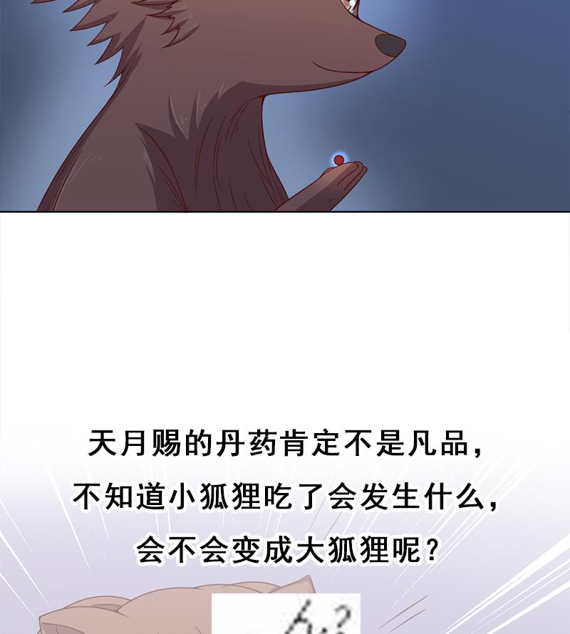 倾城之上韩漫全集-第218话 天月赐药无删减无遮挡章节图片 