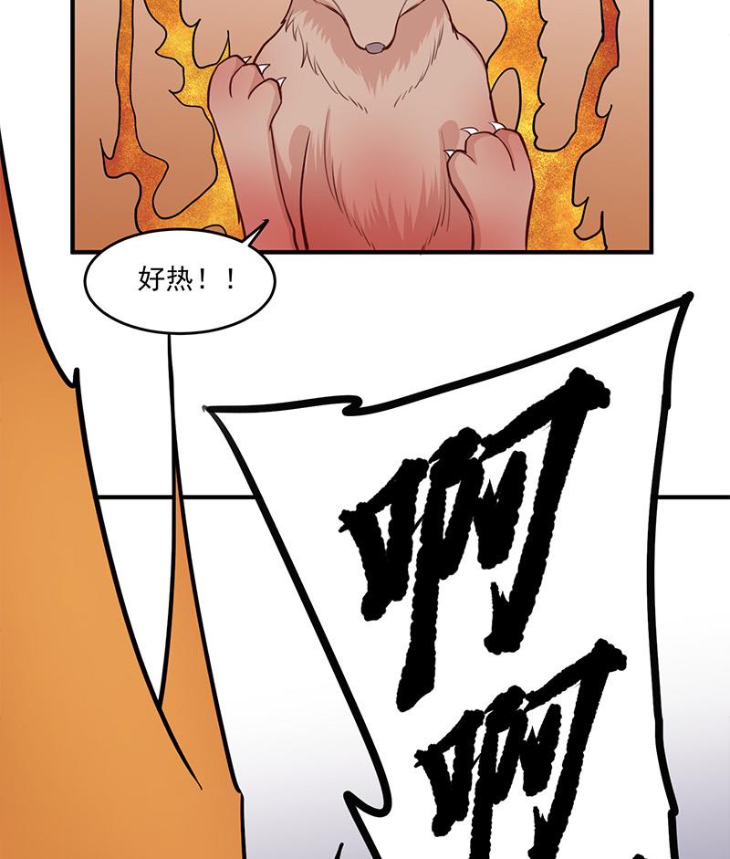 倾城之上韩漫全集-第256话 胡小毛进阶！无删减无遮挡章节图片 