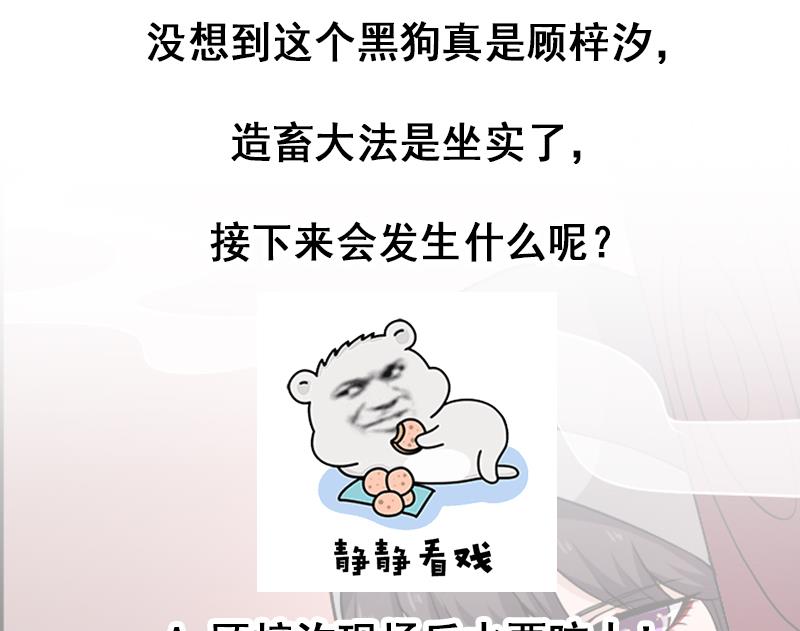 倾城之上韩漫全集-第260话 当真是顾梓汐！无删减无遮挡章节图片 