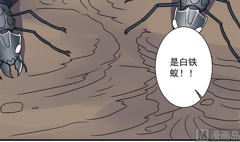 倾城之上韩漫全集-第301话 不知死活！无删减无遮挡章节图片 