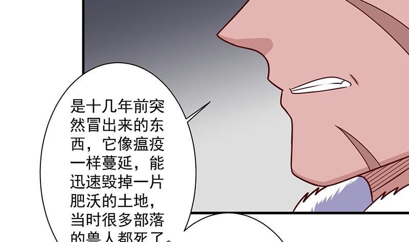 倾城之上韩漫全集-第315话 天月的计策无删减无遮挡章节图片 